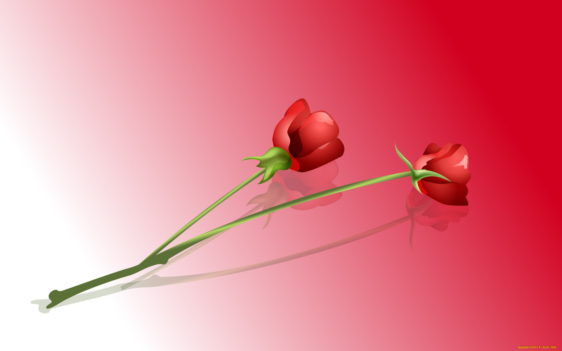 3, , flowers, 